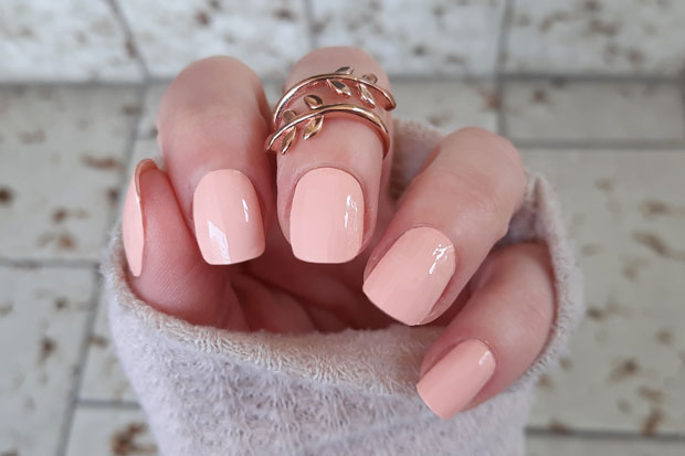 Peachy Cream